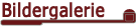 Ankes Gassi Service - Bilder zufriedener Hunde, Hamburg, HH, Gassi Service Hamburg, HH, Dogwalking, Dogwalker, kostenloser Hol- und Bring-Service, Tagesbetreuung, Halbtagesbetreuung, Urlaubsbetreuung, Wochenendbetreuung, Feiertagsbetreuung ohne Aufpreis 
